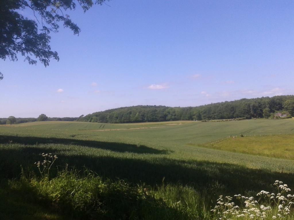 Ostsee Reetkate Langballig Kamer foto