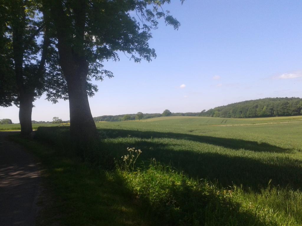 Ostsee Reetkate Langballig Kamer foto