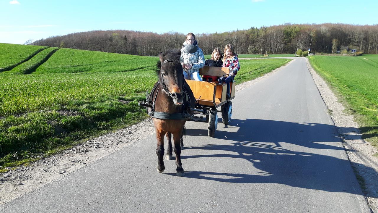 Ostsee Reetkate Langballig Buitenkant foto